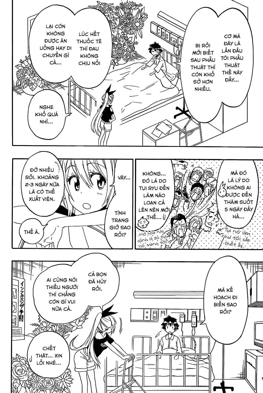 Nisekoi Chapter 117 - 5