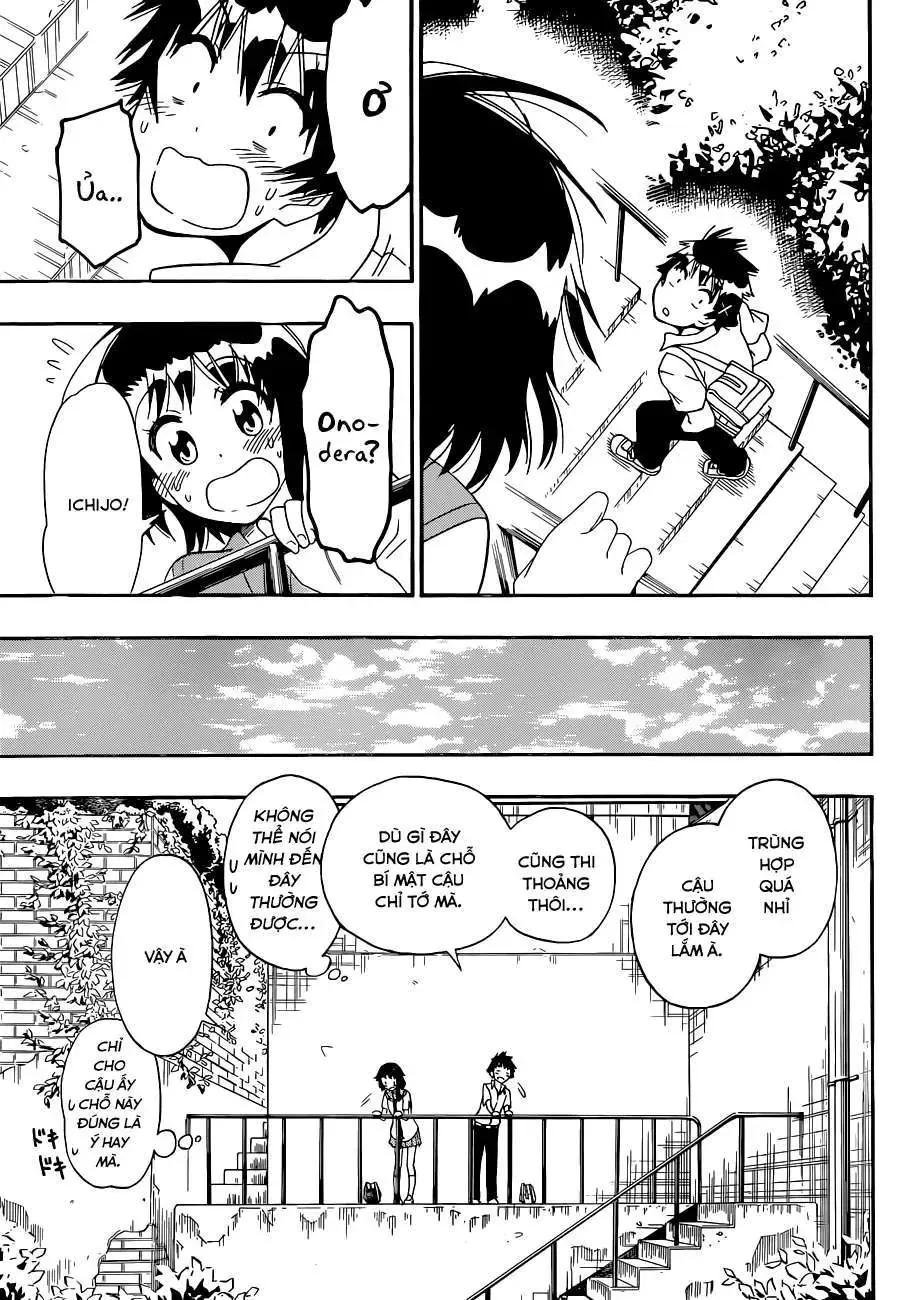 Nisekoi Chapter 123 - 14