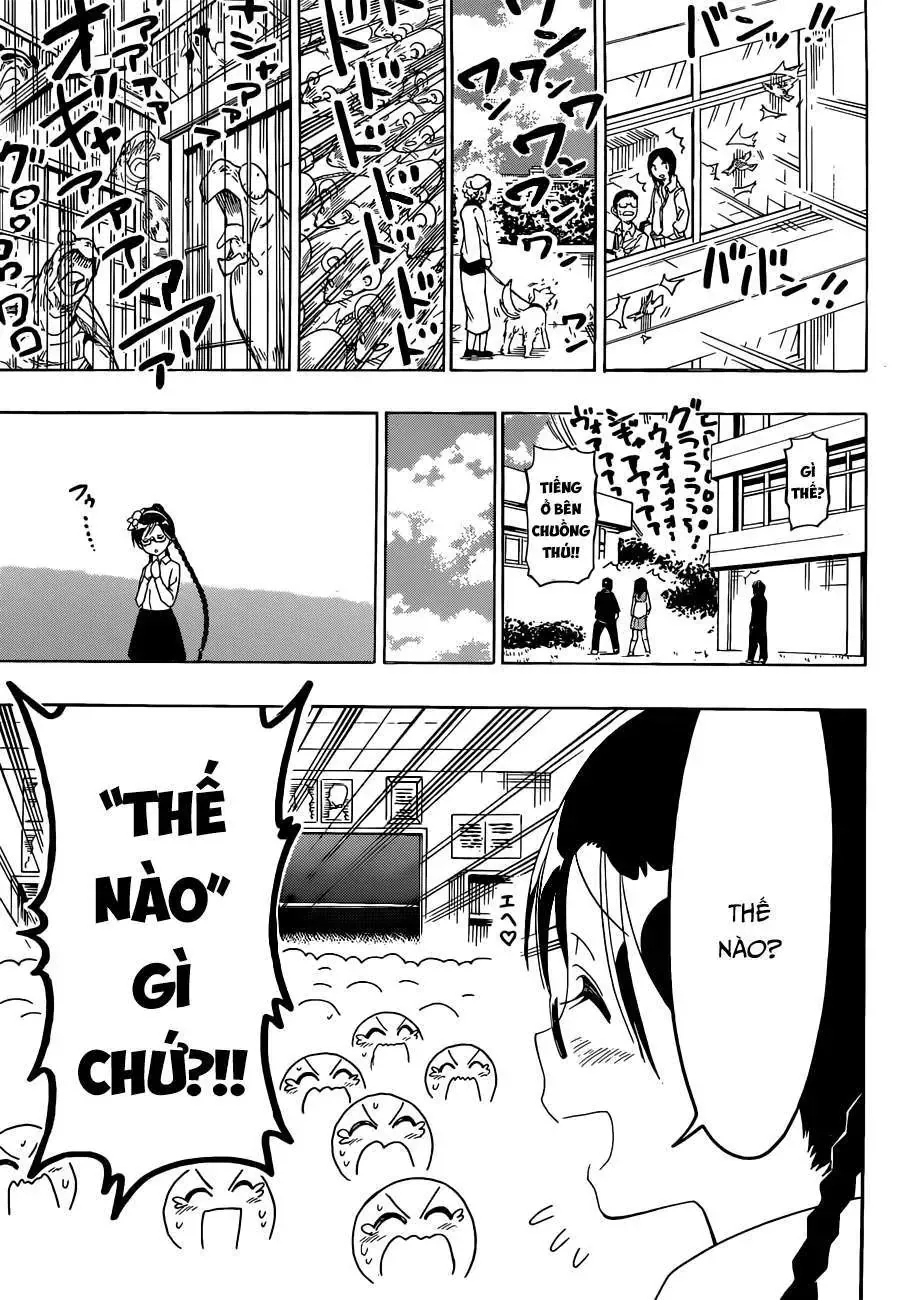 Nisekoi Chapter 135 - 6
