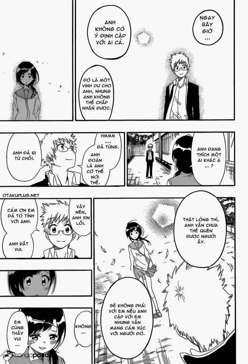 Nisekoi Chapter 141 - 15
