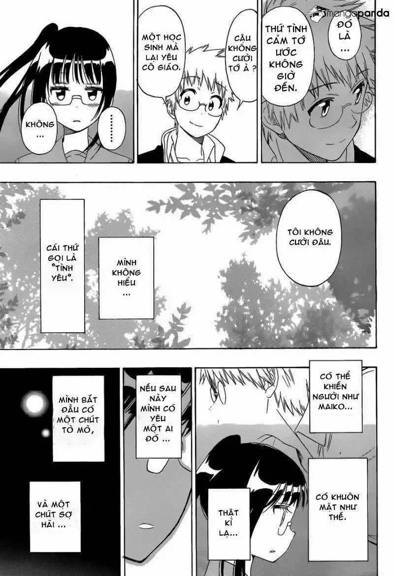Nisekoi Chapter 141 - 19