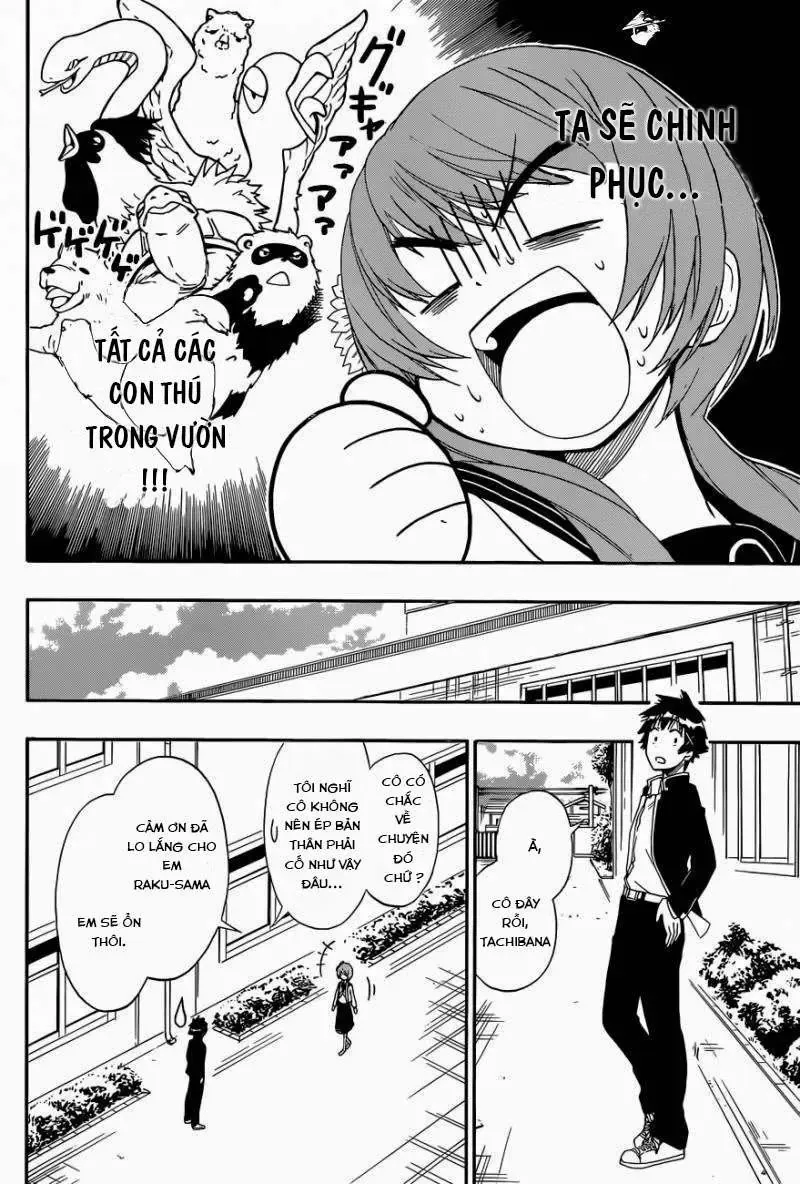 Nisekoi Chapter 142 - 2