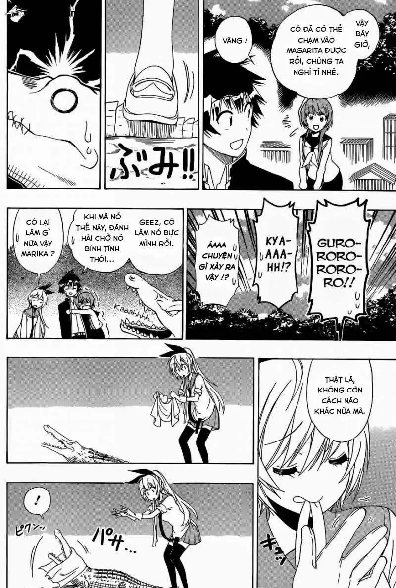 Nisekoi Chapter 142 - 12
