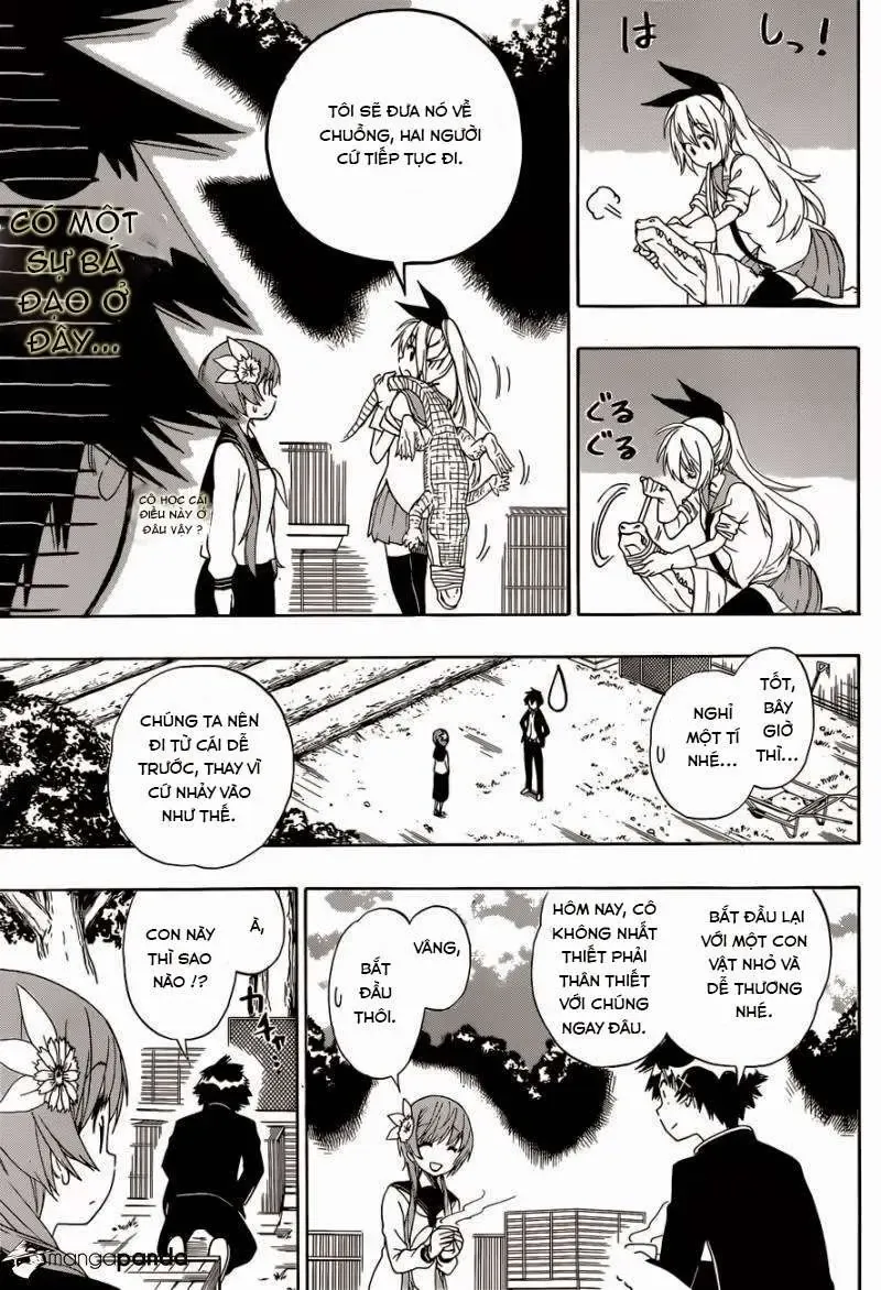 Nisekoi Chapter 142 - 13