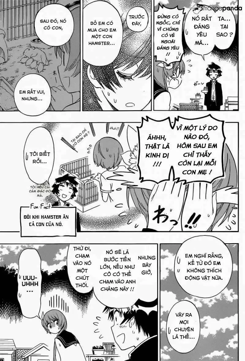 Nisekoi Chapter 142 - 15