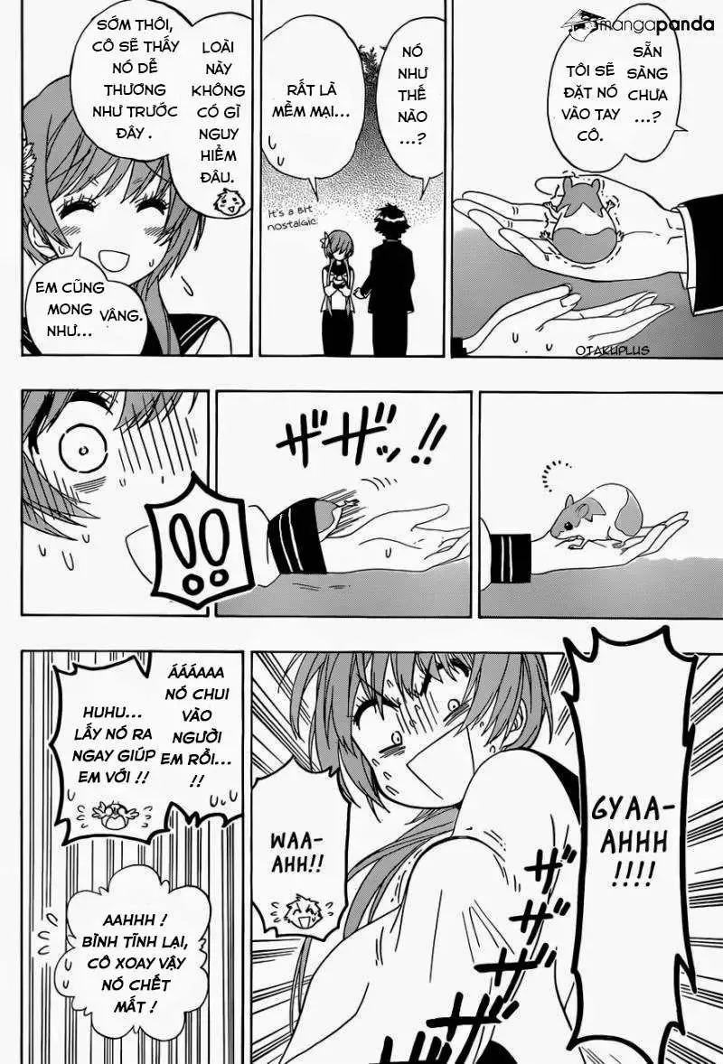 Nisekoi Chapter 142 - 16