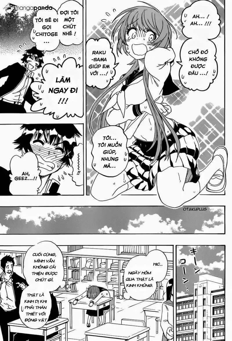 Nisekoi Chapter 142 - 17