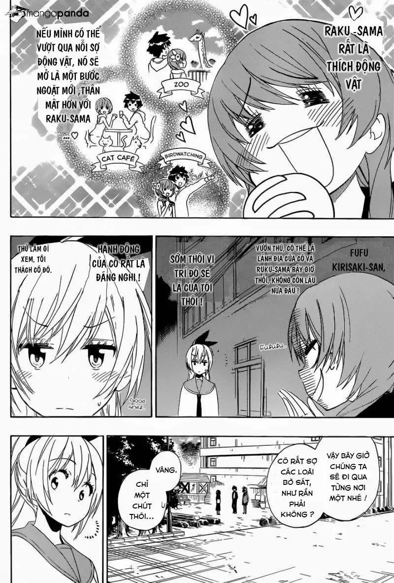 Nisekoi Chapter 142 - 4