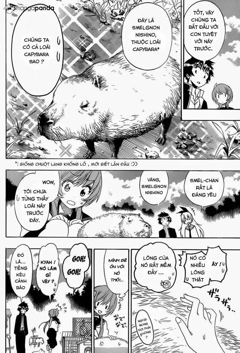 Nisekoi Chapter 142 - 6