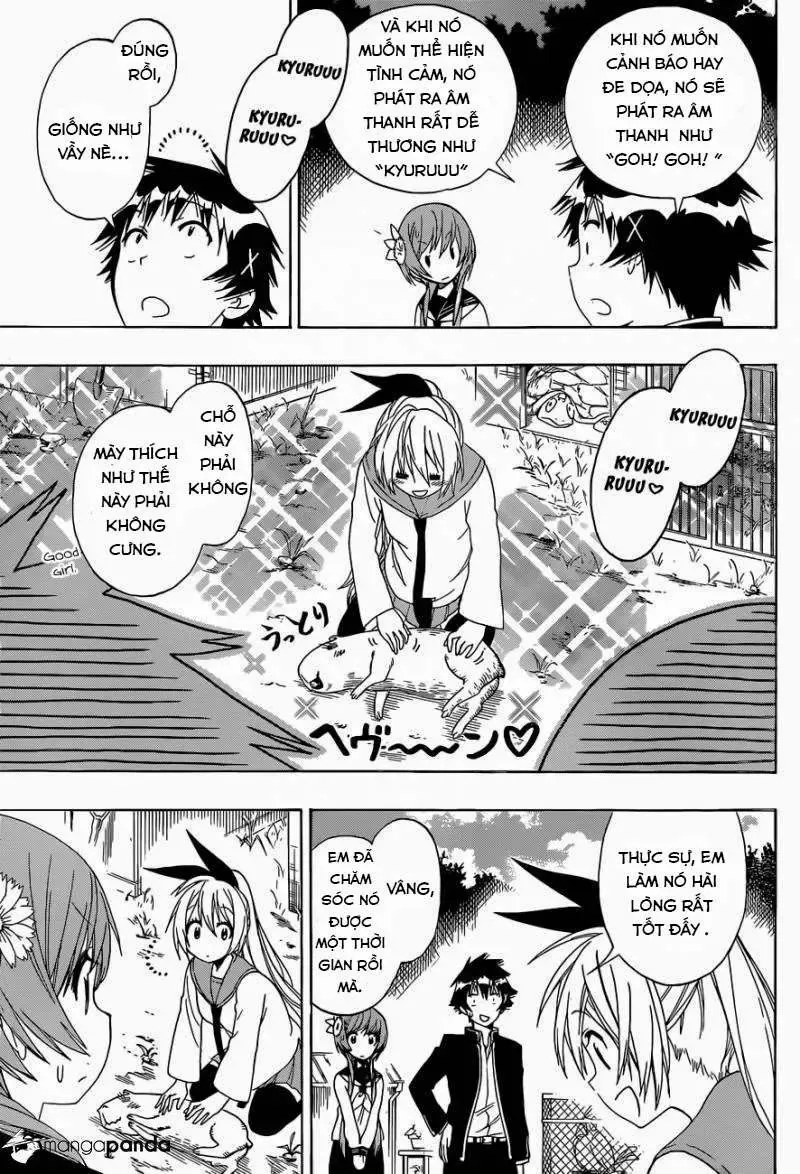 Nisekoi Chapter 142 - 7