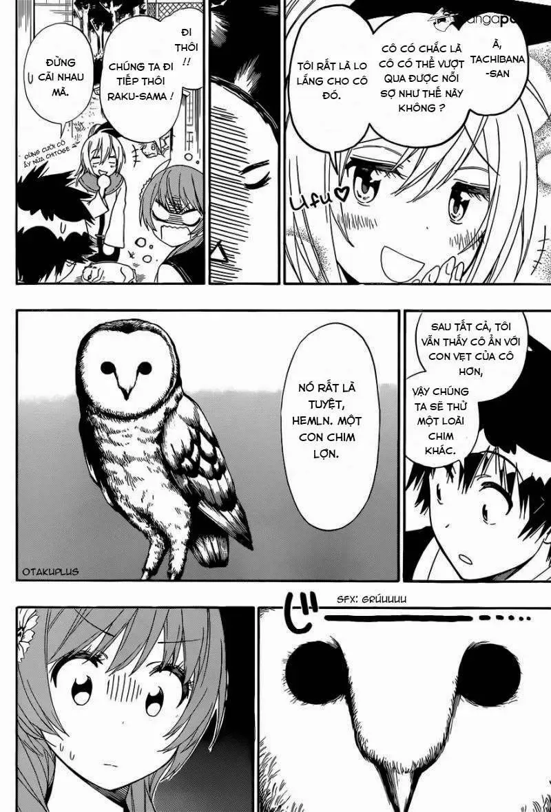 Nisekoi Chapter 142 - 8