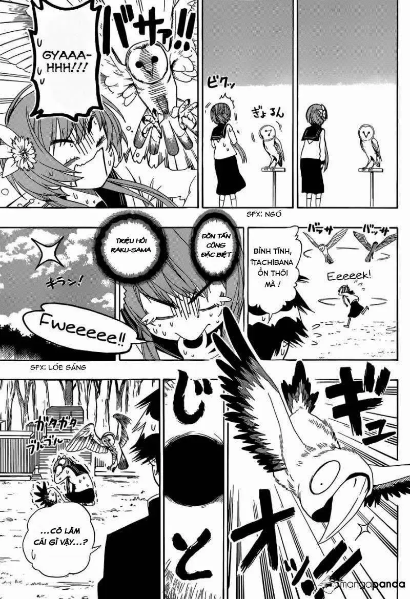 Nisekoi Chapter 142 - 9