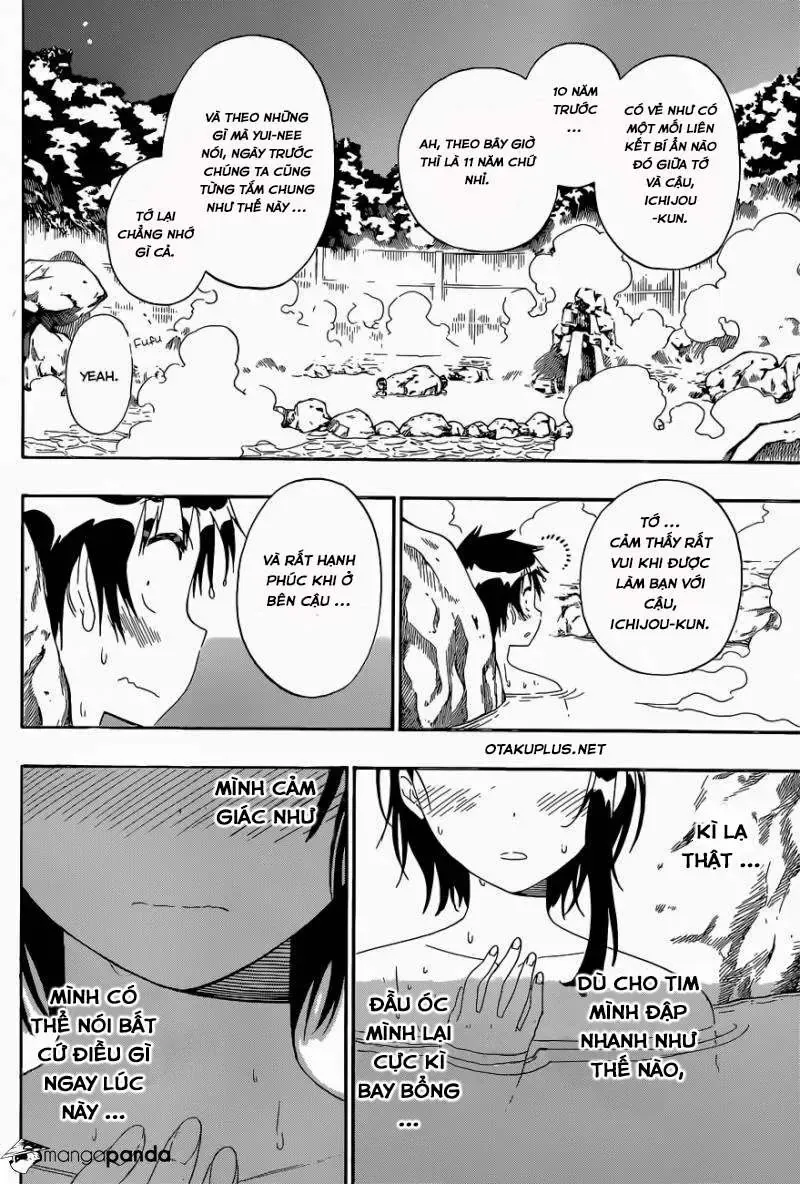 Nisekoi Chapter 144 - 12