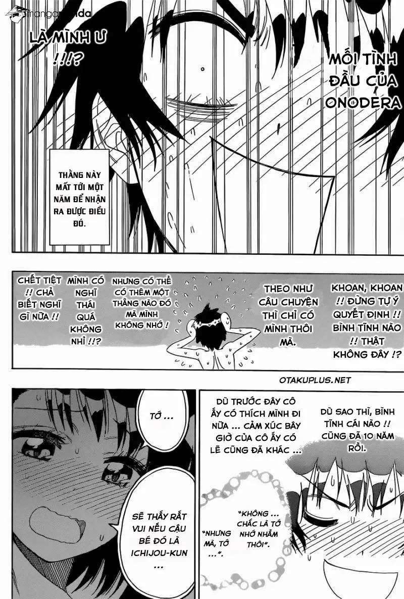 Nisekoi Chapter 144 - 14