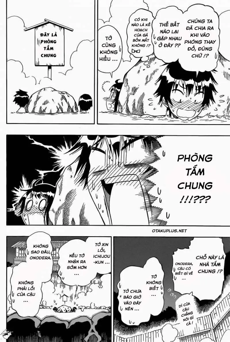 Nisekoi Chapter 144 - 8