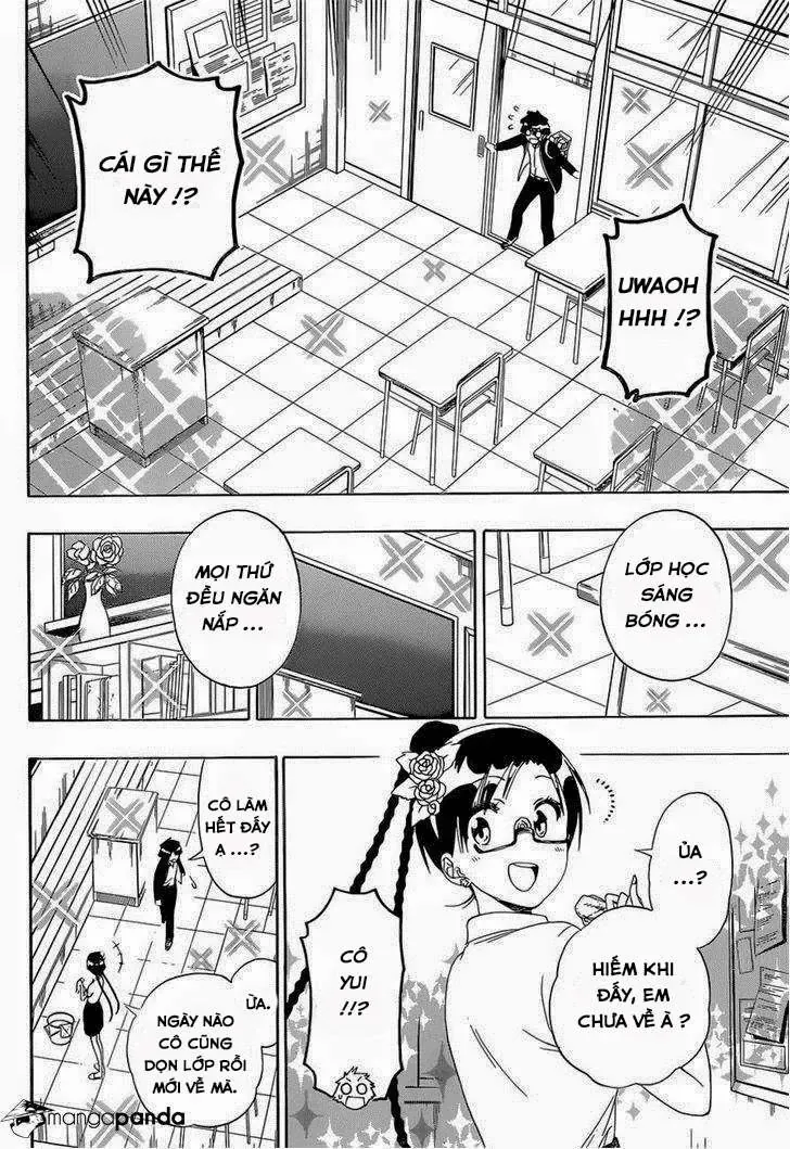Nisekoi Chapter 146 - 14