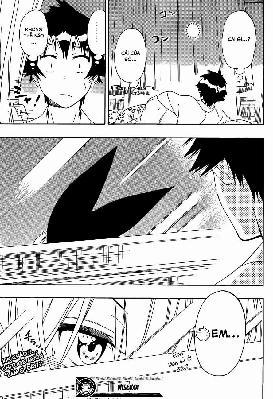 Nisekoi Chapter 151 - 20