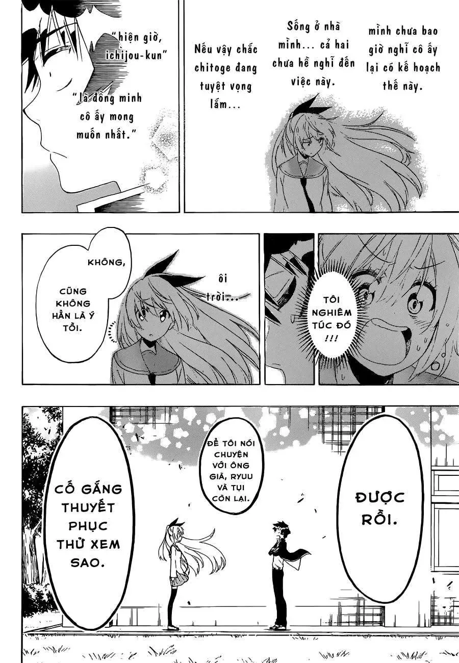 Nisekoi Chapter 159 - 15