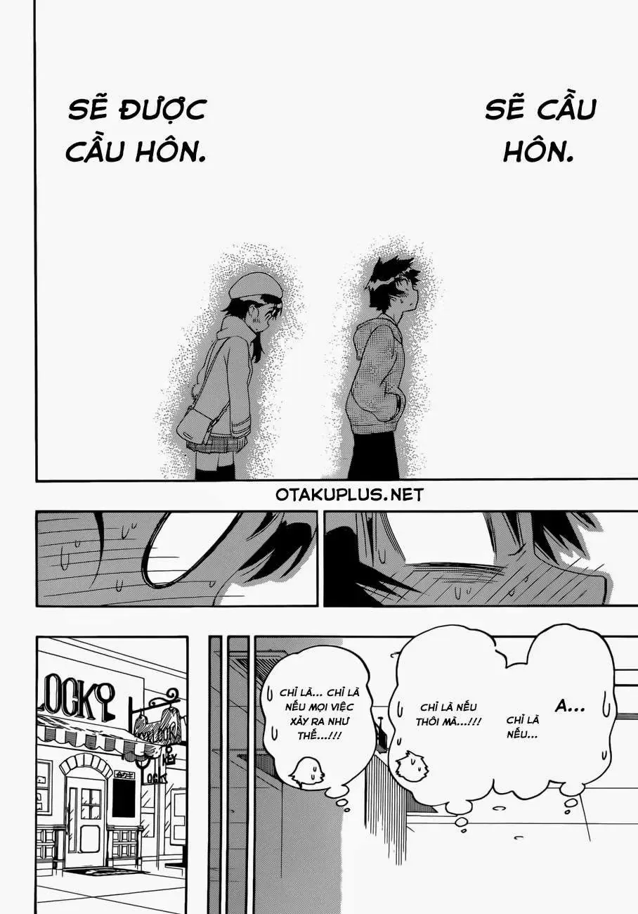 Nisekoi Chapter 165 - 20