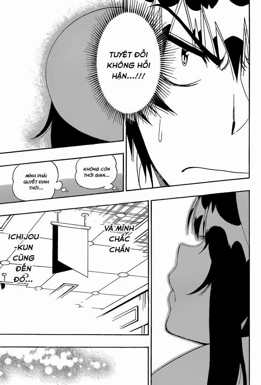 Nisekoi Chapter 167 - 17