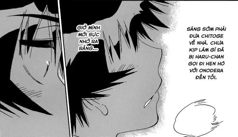 Nisekoi Chapter 167 - 24