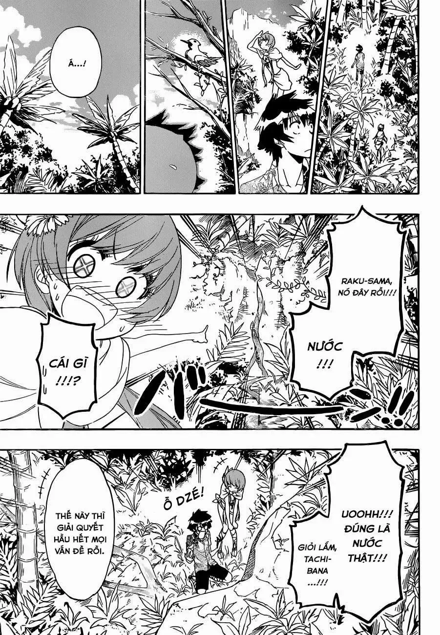 Nisekoi Chapter 170 - 14