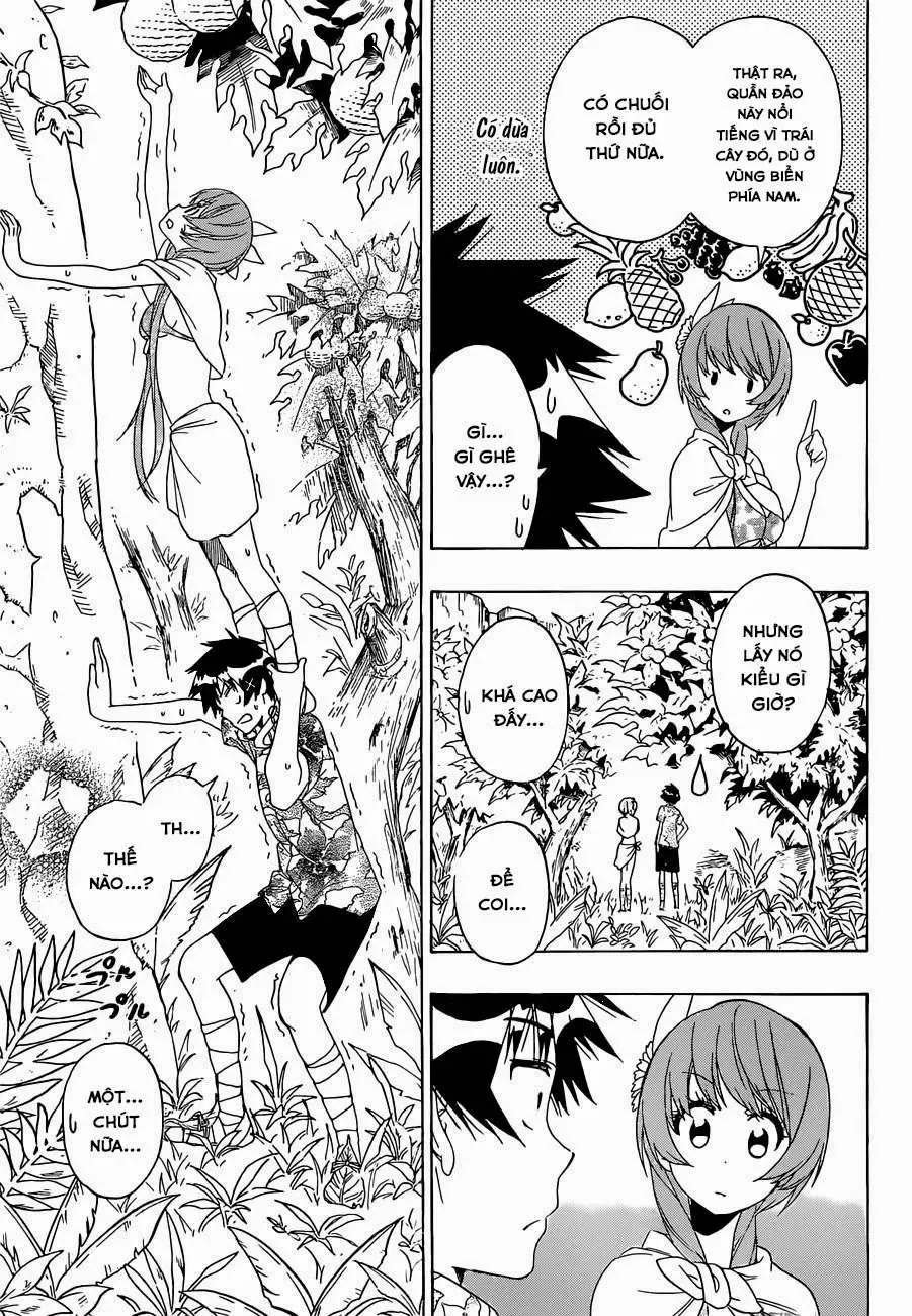 Nisekoi Chapter 170 - 16