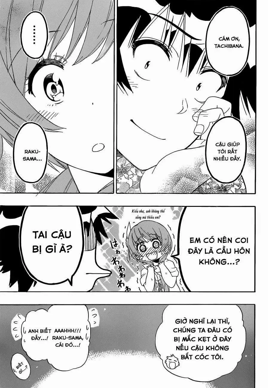 Nisekoi Chapter 170 - 20