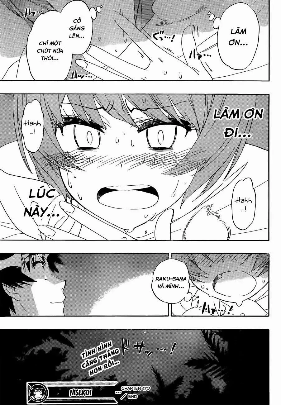 Nisekoi Chapter 170 - 22