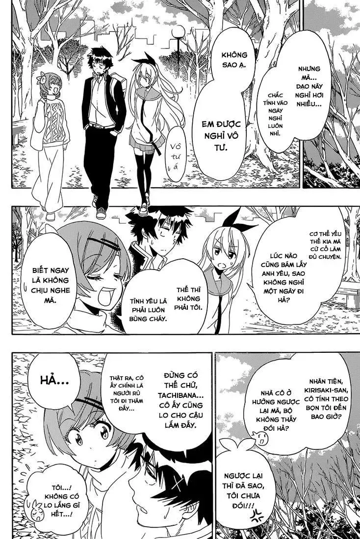Nisekoi Chapter 180 - 14