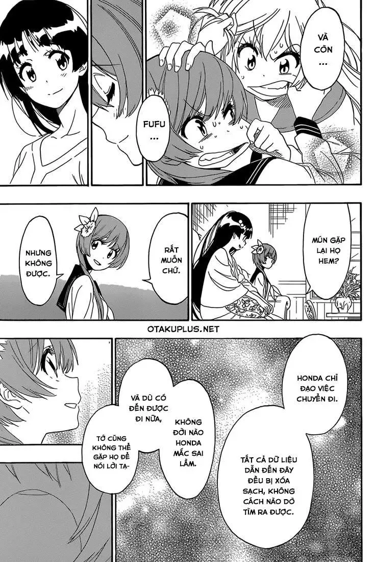 Nisekoi Chapter 183 - 19