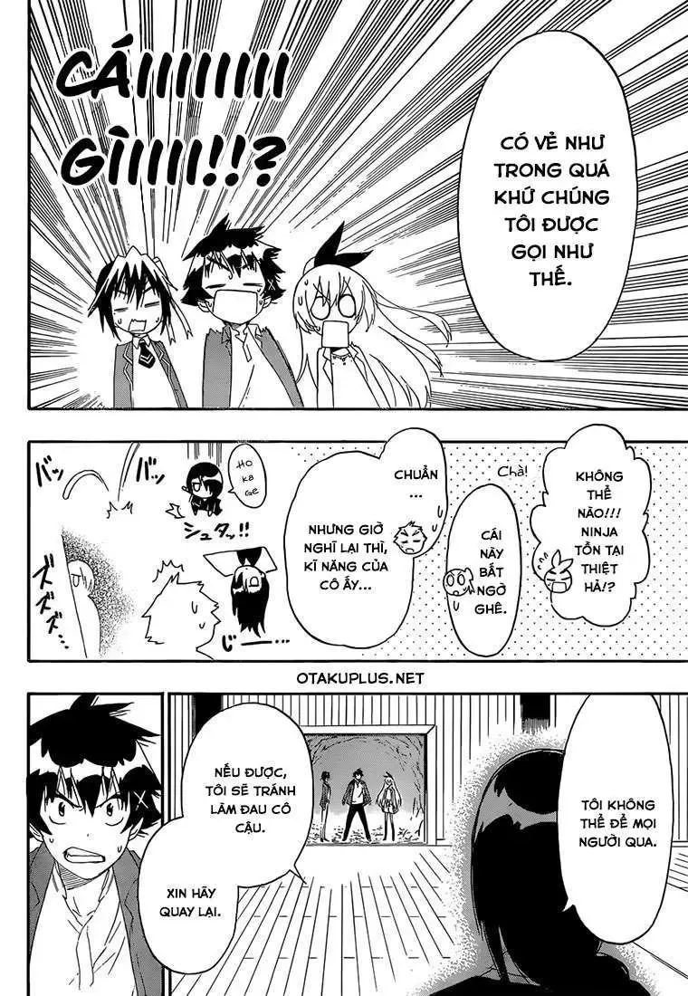 Nisekoi Chapter 184 - 19