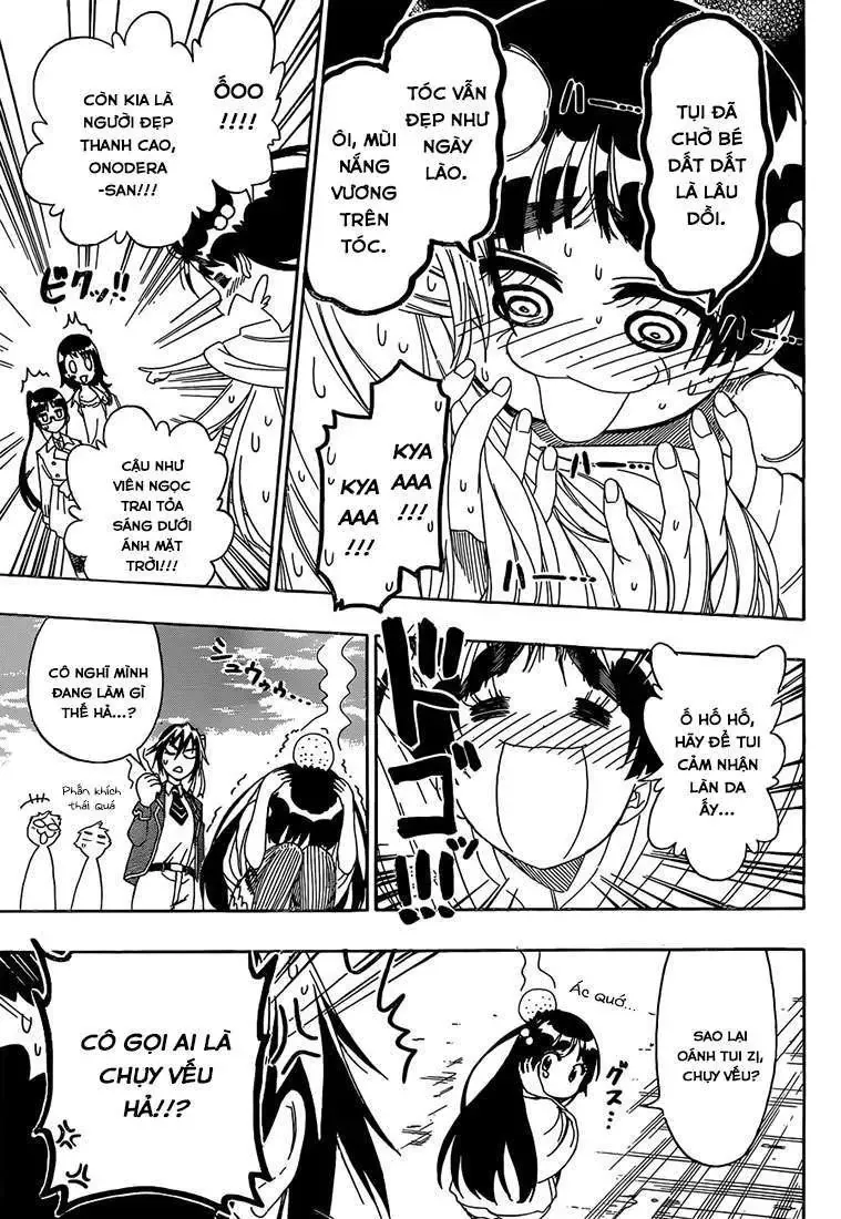 Nisekoi Chapter 184 - 8