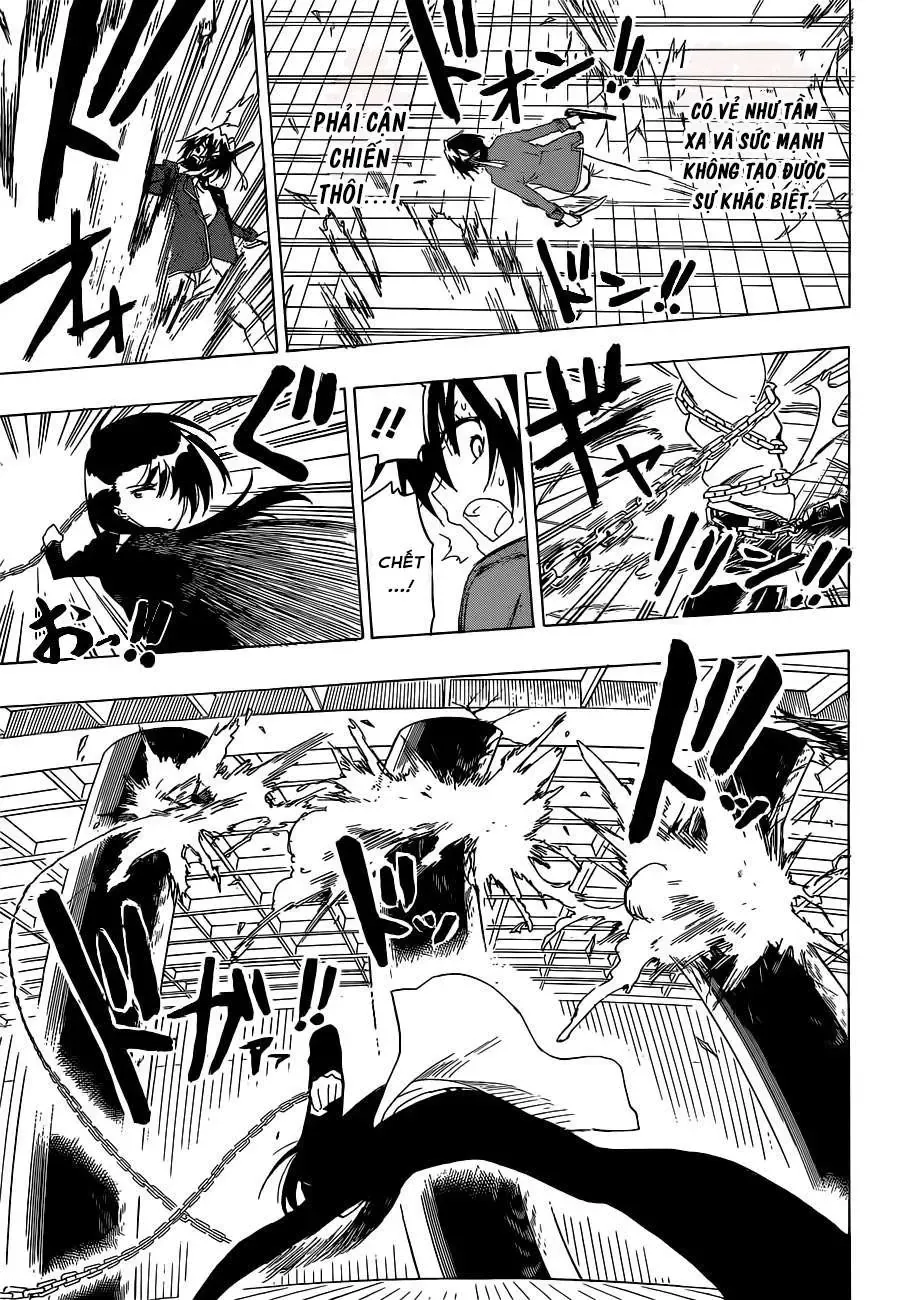 Nisekoi Chapter 185 - 12