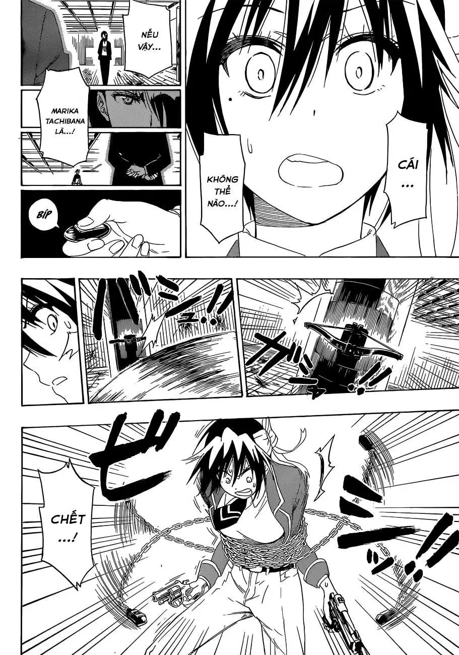 Nisekoi Chapter 185 - 19