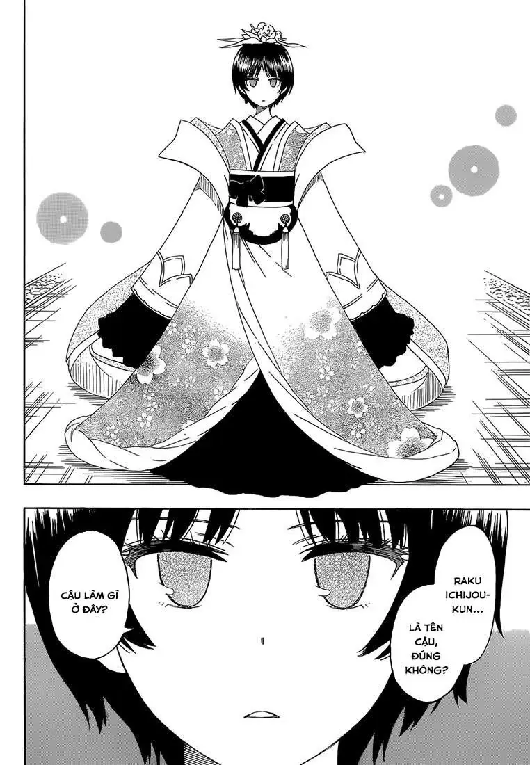 Nisekoi Chapter 186 - 11
