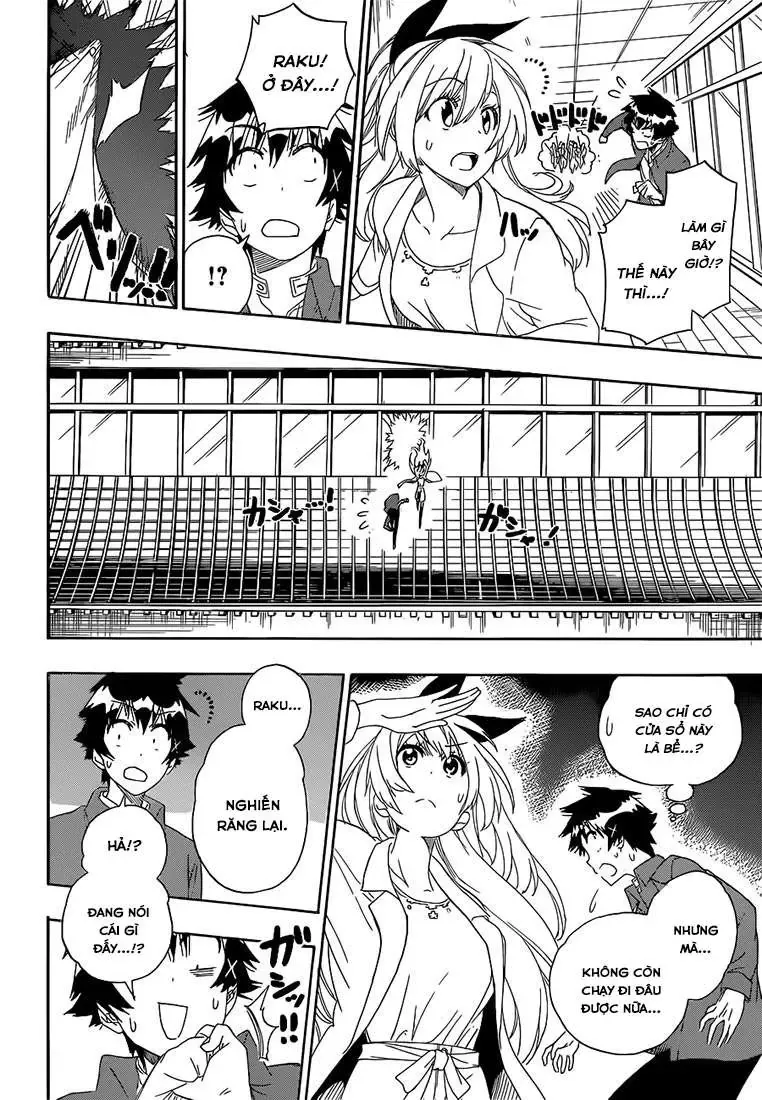 Nisekoi Chapter 186 - 7