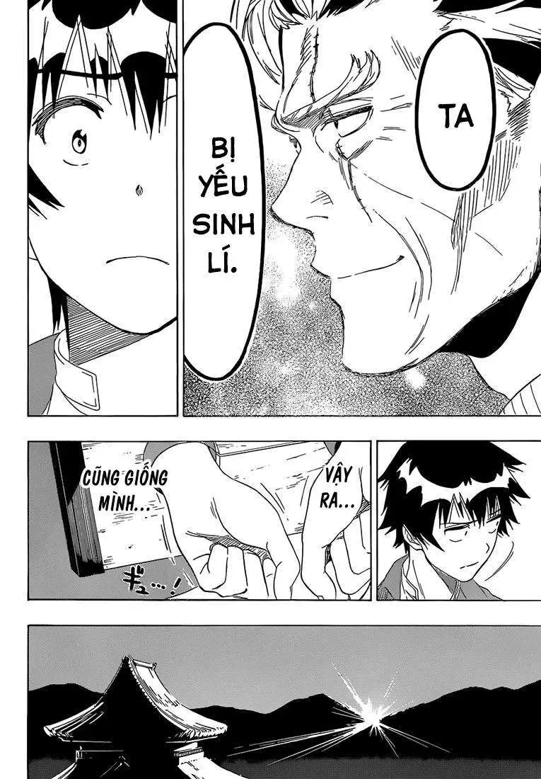 Nisekoi Chapter 187 - 23