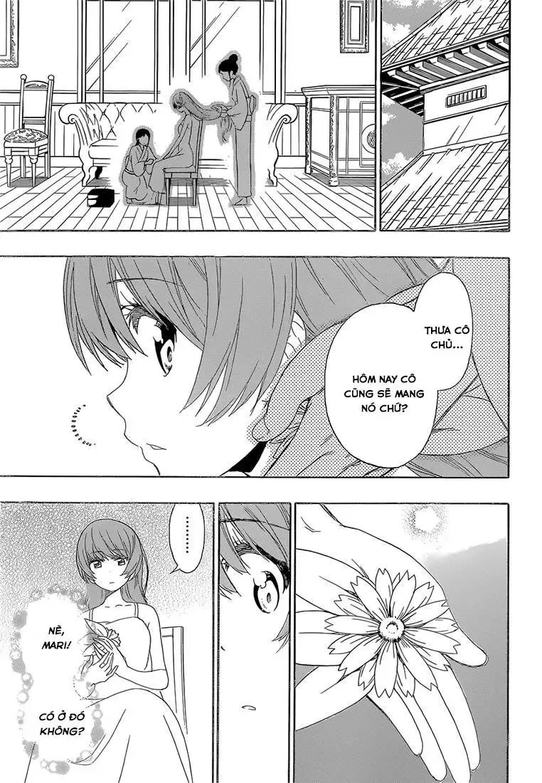 Nisekoi Chapter 188 - 19