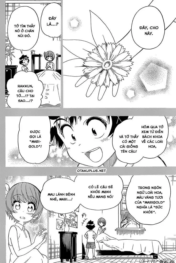 Nisekoi Chapter 188 - 20