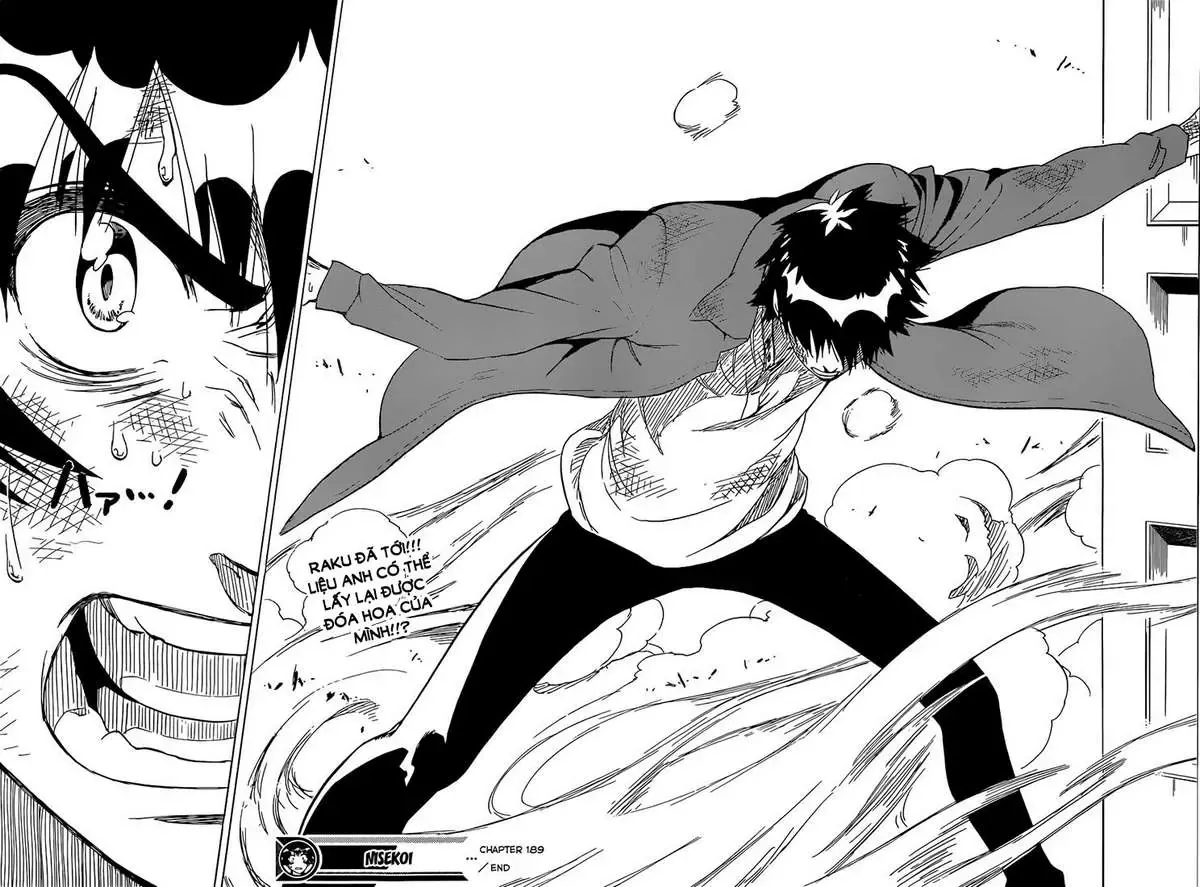 Nisekoi Chapter 189 - 20