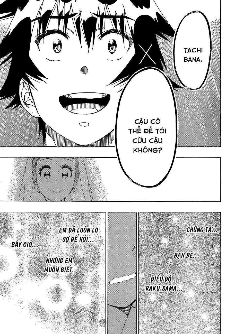 Nisekoi Chapter 190 - 12