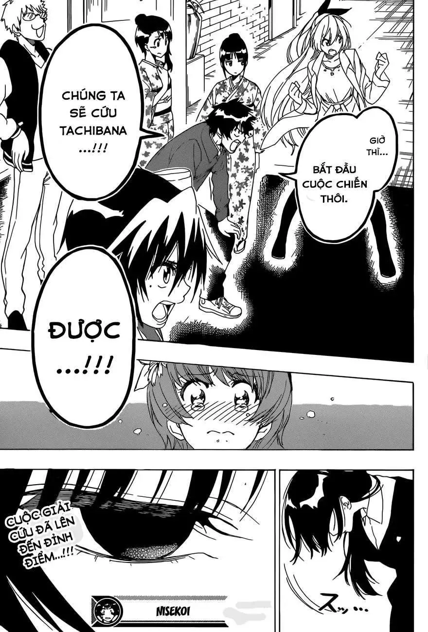 Nisekoi Chapter 190 - 20