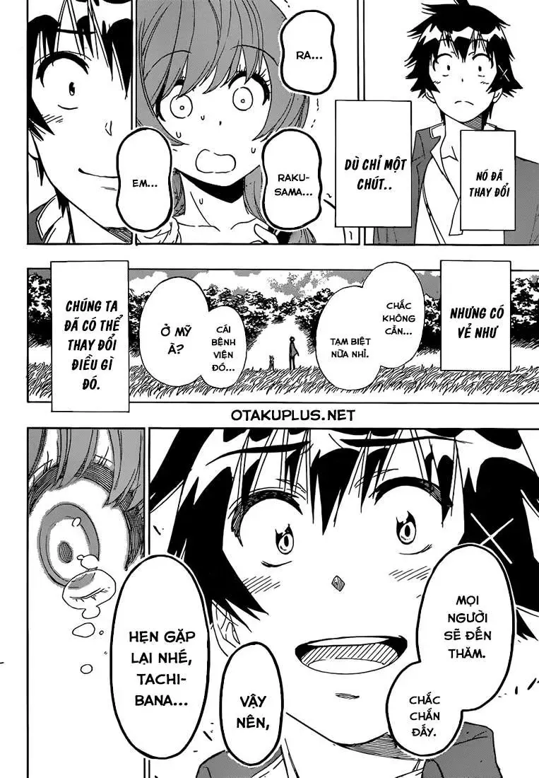 Nisekoi Chapter 194 - 20