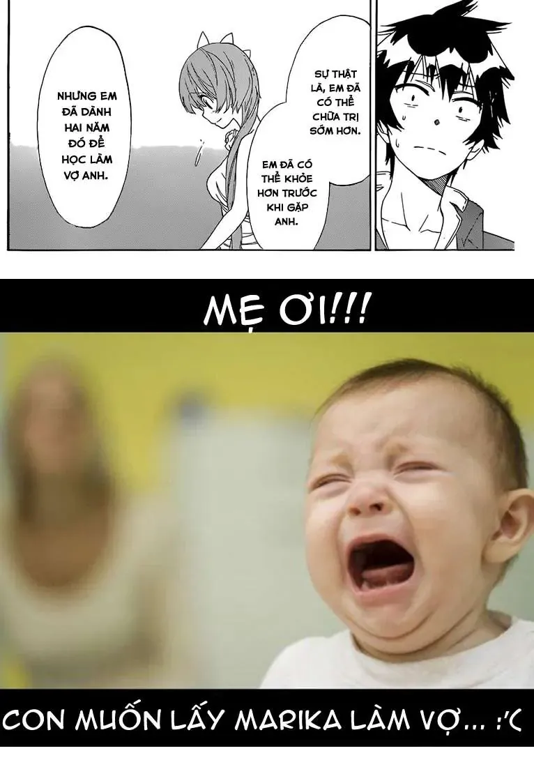 Nisekoi Chapter 194 - 23