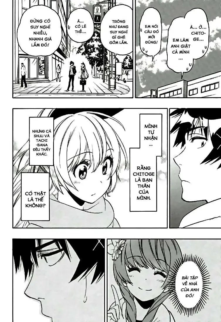 Nisekoi Chapter 196 - 11