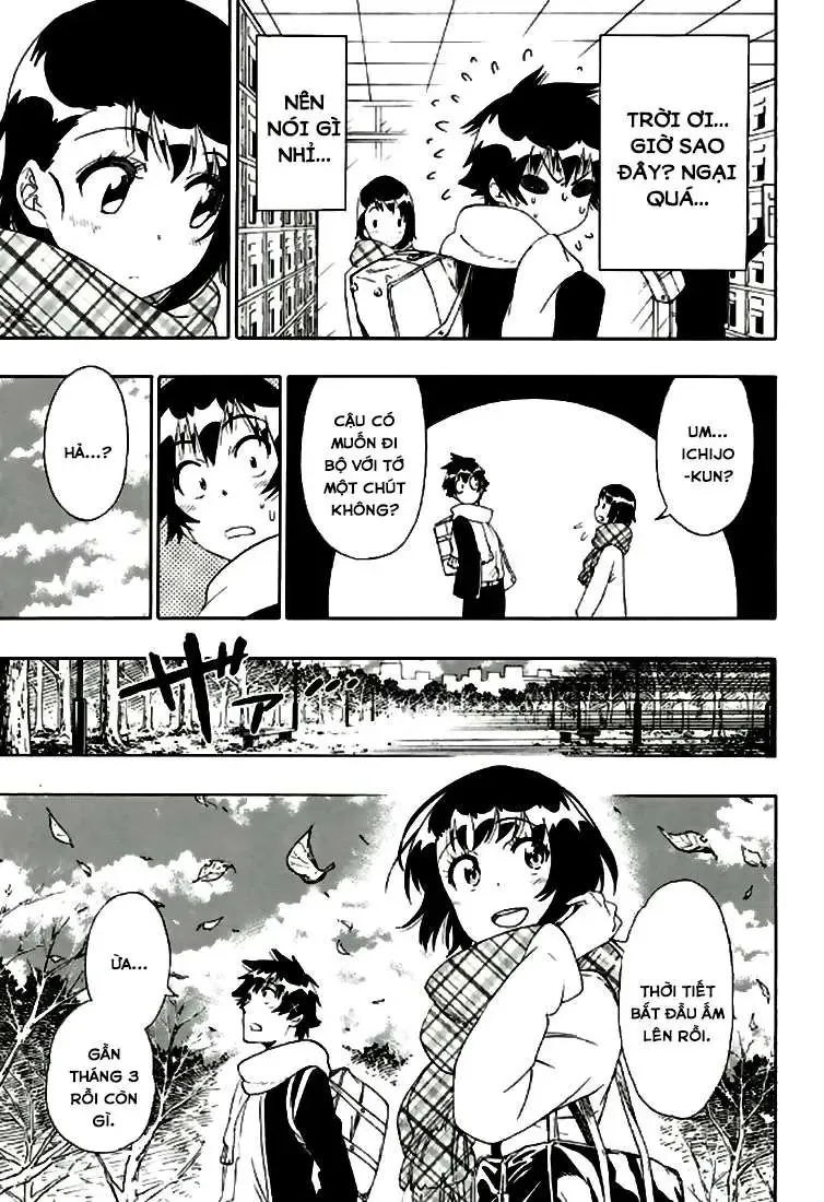 Nisekoi Chapter 196 - 16
