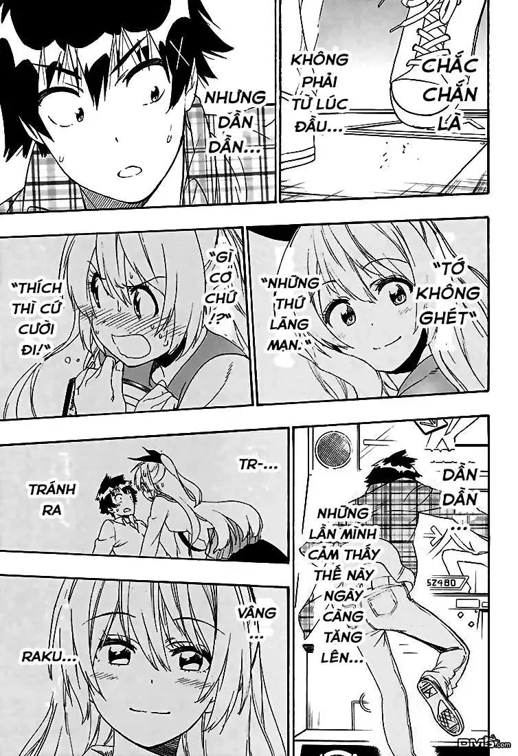 Nisekoi Chapter 199 - 15