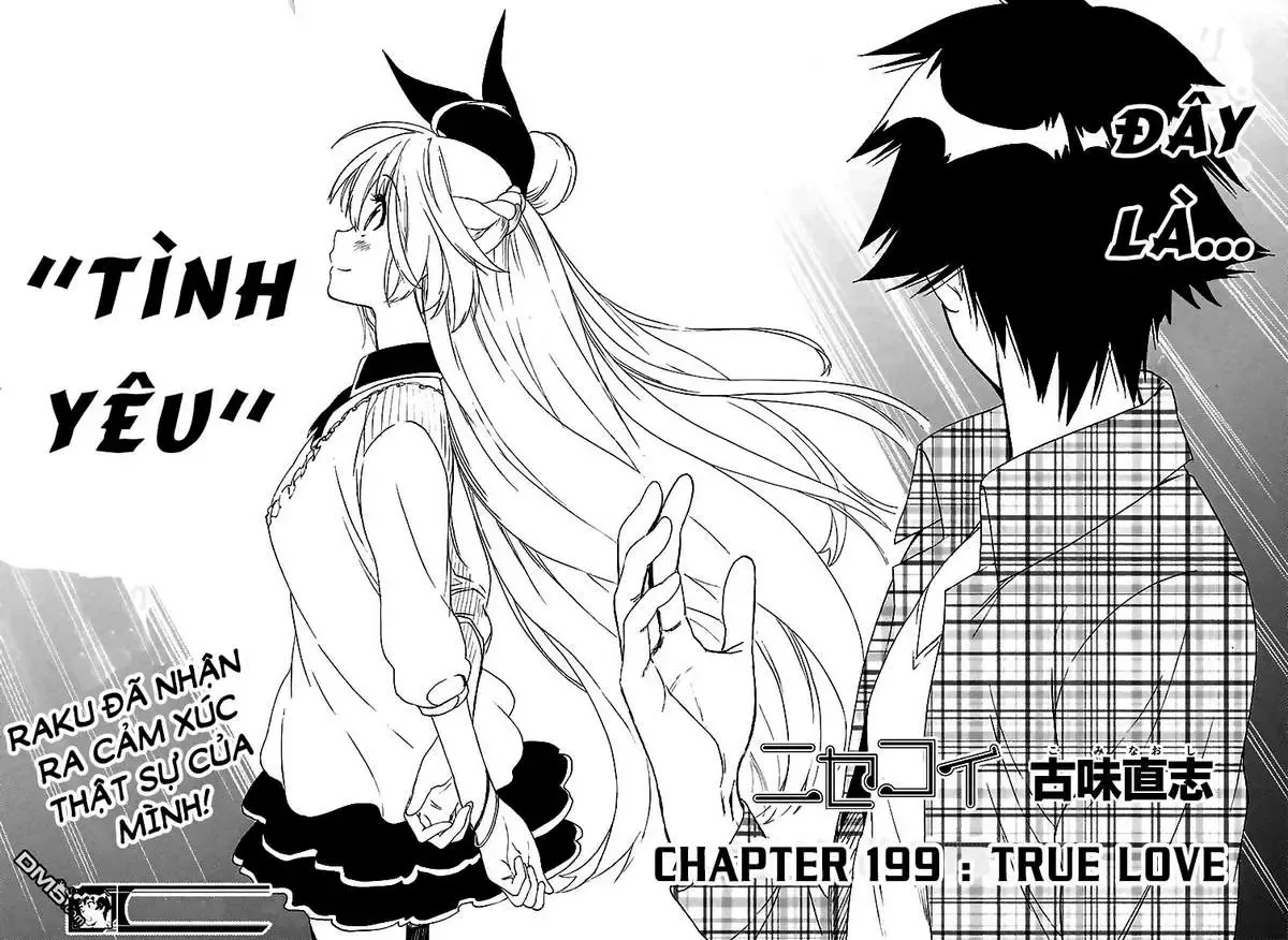 Nisekoi Chapter 199 - 20