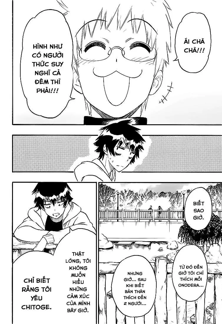 Nisekoi Chapter 200 - 15